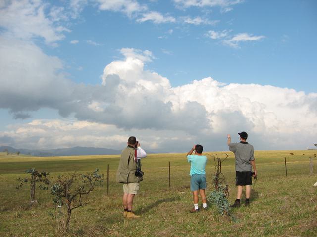 Three chasers watching towering storm clouds across open paddocks