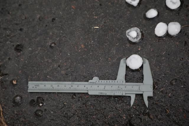Hailstones on the ground next to a measuring gauge