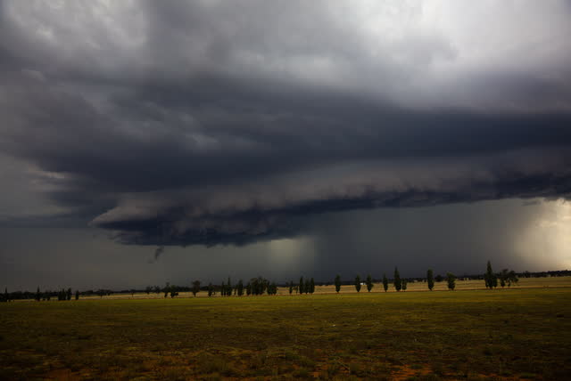 Shelf cloud advancing over golden fields